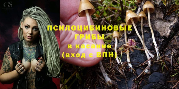а пвп мука Балахна